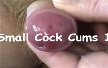 best of Small fast cums with dick