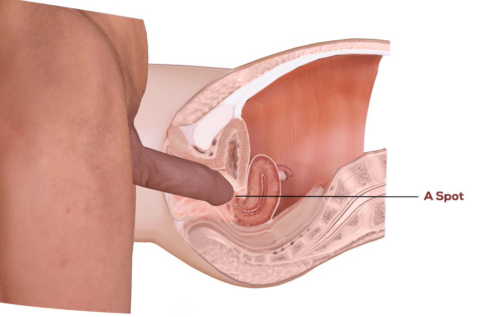 Large penis penetrating in vargina