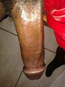 best of Shaved cock black nice oily
