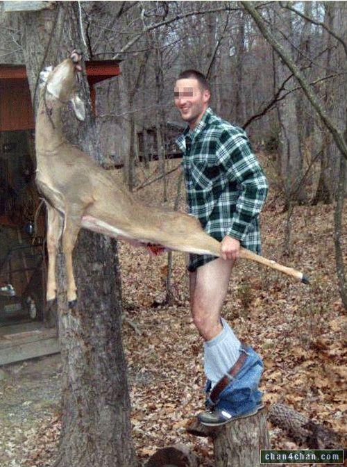 Hunter has sex with deer