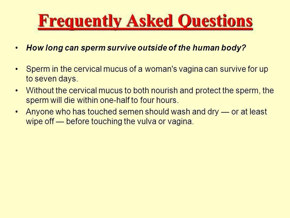 Can sperm survive outside