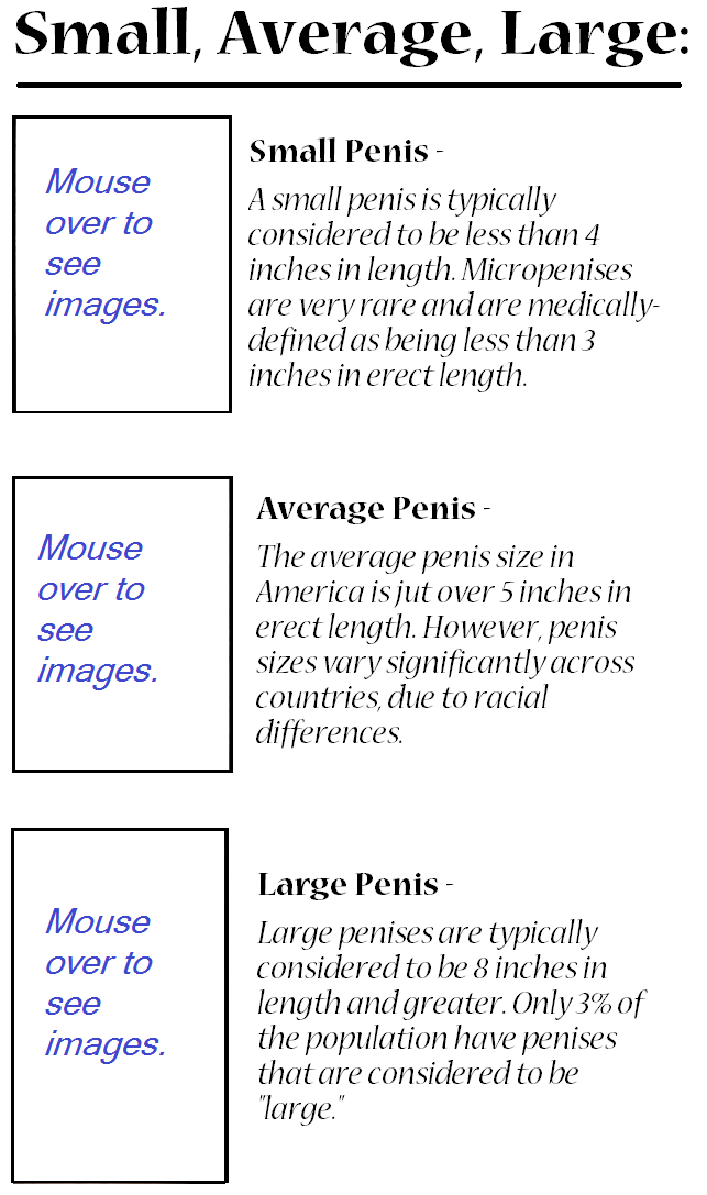 best of In erect penis position Small