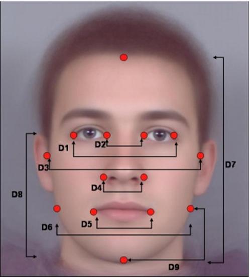 best of Symmetry measurement Facial