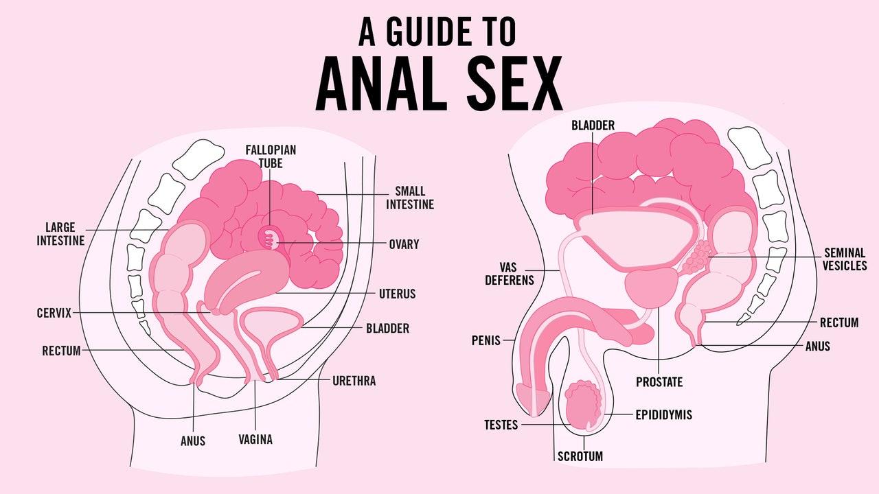 Inside the rectum and anus