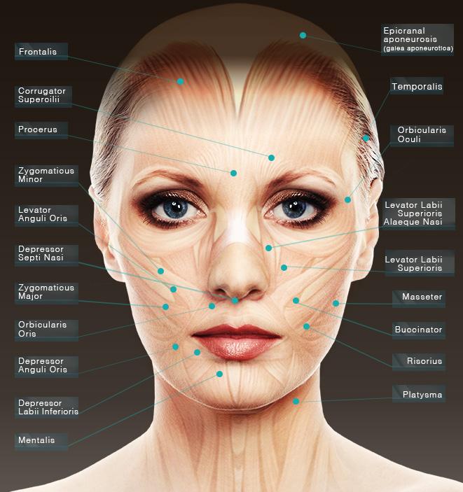 Involunatary facial muscle contractures