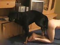 Grasshopper reccomend Girl fucked by rottweiler