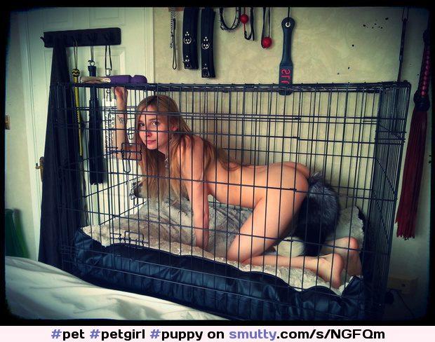 Athena reccomend Bondage cages puppy