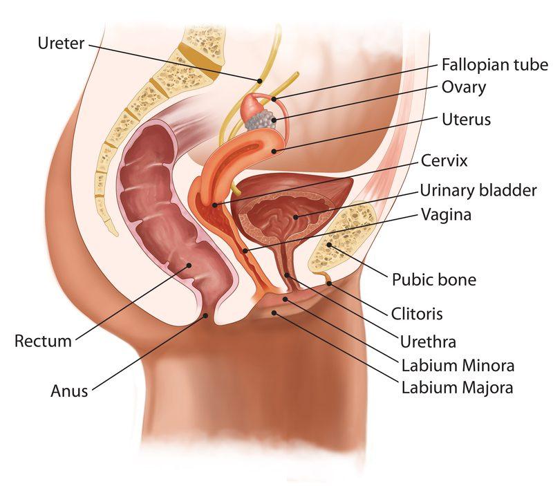 Best position for vaginal orgasms